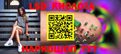 стаф Краснодар