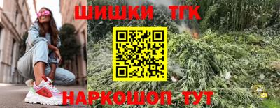 стаф Краснодар