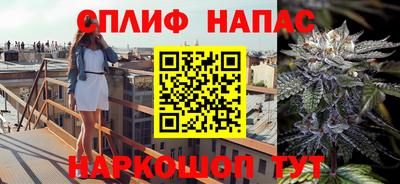 стаф Краснодар