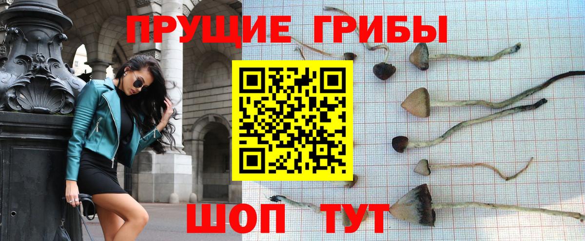 Псилоцибиновые грибы Magic Shrooms  Вход с VPN  Тельмана  Галлюциногенные грибы мухоморы 