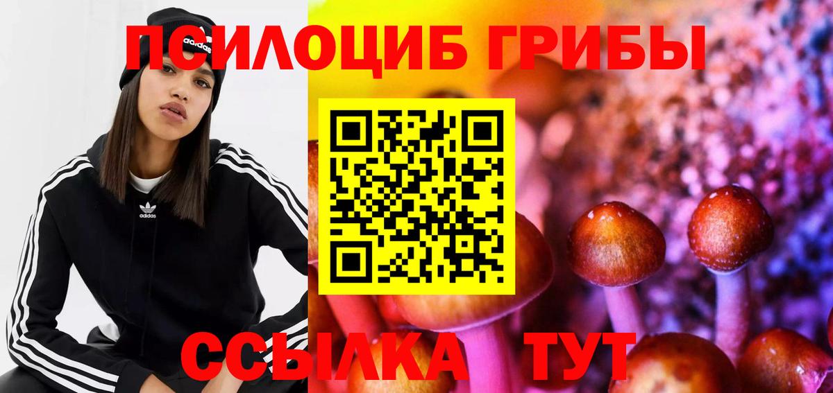 Псилоцибиновые грибы Magic Shrooms Тельмана