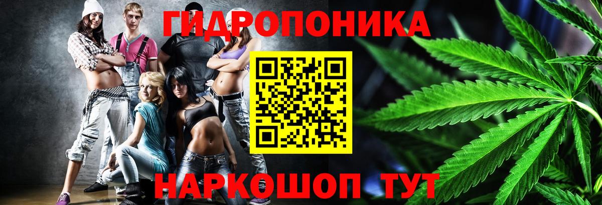 Бошки марихуана конопля  Канабис индика  Тельмана  Вход с VPN 