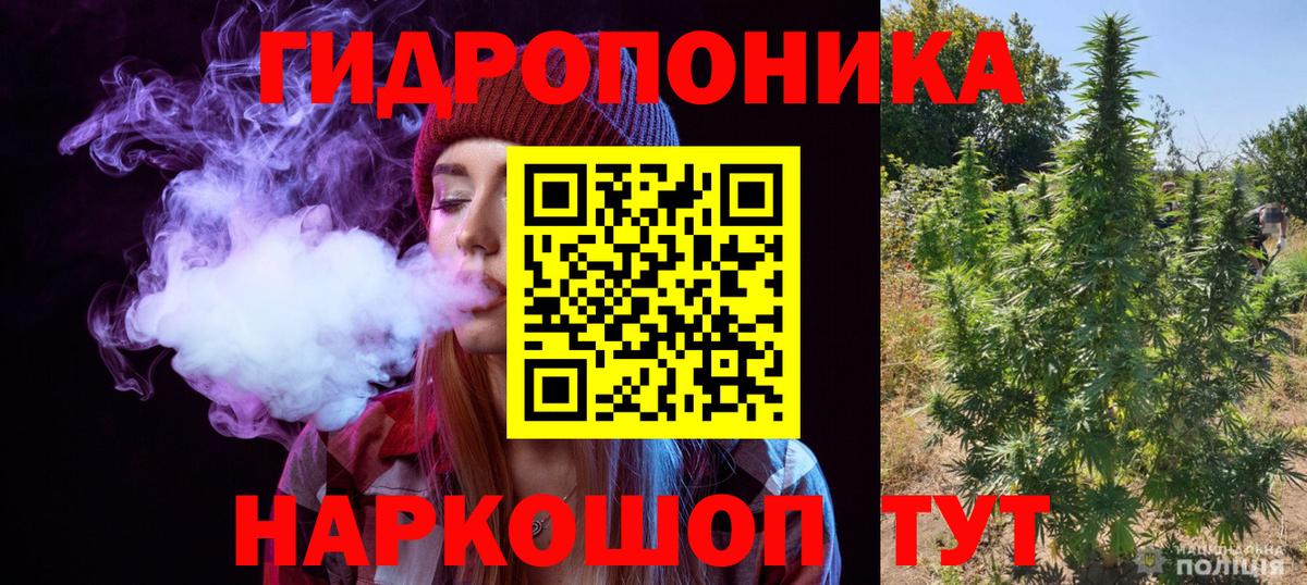 МАРИХУАНА конопля Тельмана